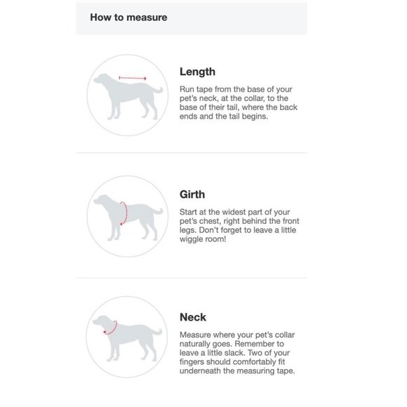 Boots & Barkley Stripe Lightweight Dog Sweatshirt - Cream warm LARGE NEW W TAGS - Picture 9 of 15